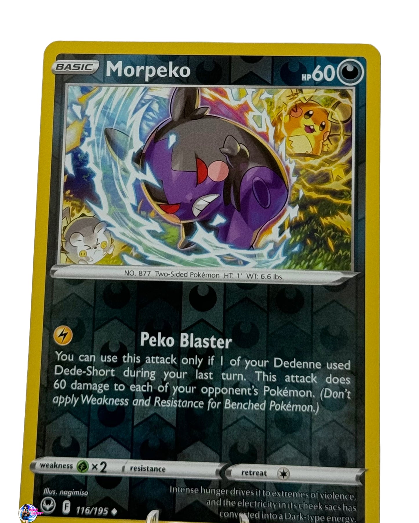 Pokemon Silver Tempest: Morpeko Reverse Holo #116